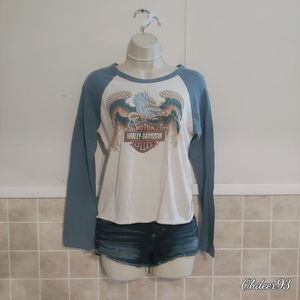Hardley Davidson Medium screaming eagle grayblue/cream long sleeve shirt